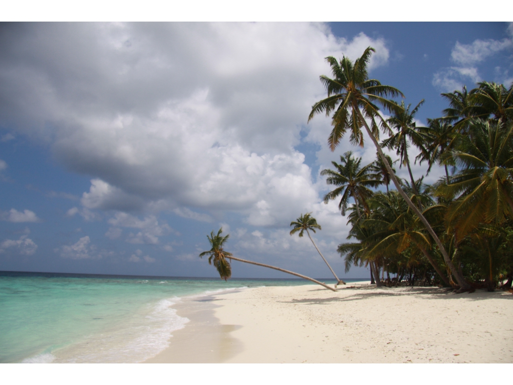 2010-10-17 09-01-53 - Maldives 2010 IMG_5817 2010-10-17 09-01-53 - Maldives 2010 IMG_5817